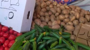 أسعار الخضراوات والفاكهة في الوادي الجديد: الطماطم 5 جنيهات والليمون 20